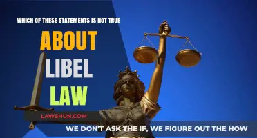 Unraveling Libel Law Myths: Which Statement Doesn't Hold Up?