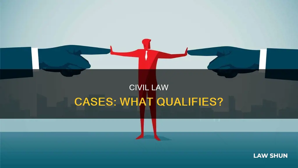 which of these would be a civil law case