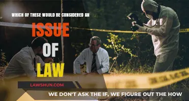 Legal vs. Factual: Identifying Issues of Law in Legal Disputes