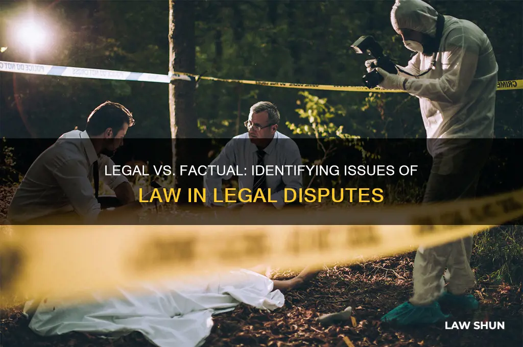 which of these would be considered an issue of law