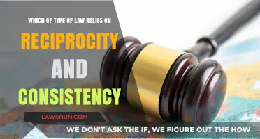 Understanding Reciprocity and Consistency in International Law Principles