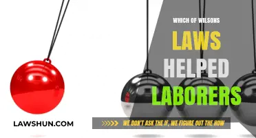 Wilson's Labor Laws: Empowering Workers and Shaping Fair Labor Practices