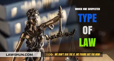 Unraveling the Mystery: Which Suspected Type of Law Applies?