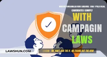 Ensuring Compliance: Organizations Monitoring Political Campaign Law Adherence