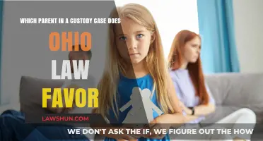 Ohio Custody Law: Who Gets the Child?