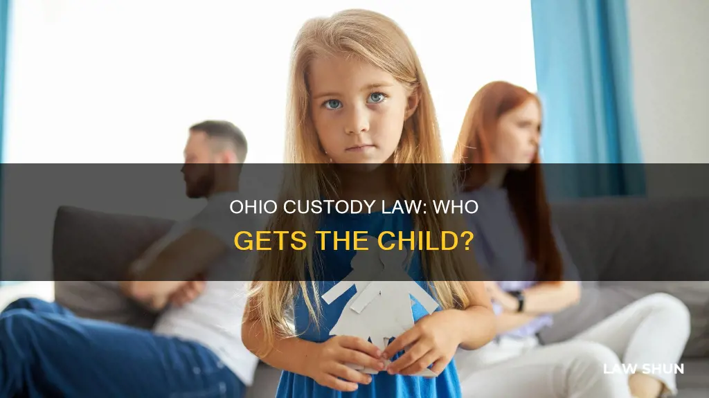 which parent in a custody case does ohio law favor