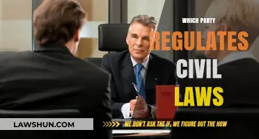 Understanding Civil Law Regulation: Which Party Holds the Authority?