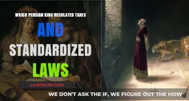 The Persian King Who Standardized Laws and Taxes