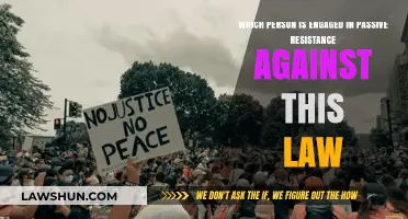 Unseen Defiance: Profiles of Passive Resistance Against Oppressive Laws
