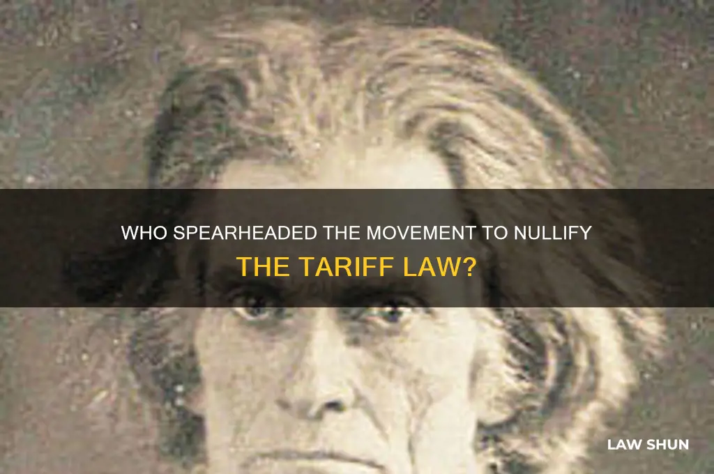 which person led the charge to nullify the tariff law