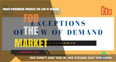 Exploring Economic Forces Behind the Law of Demand in Markets