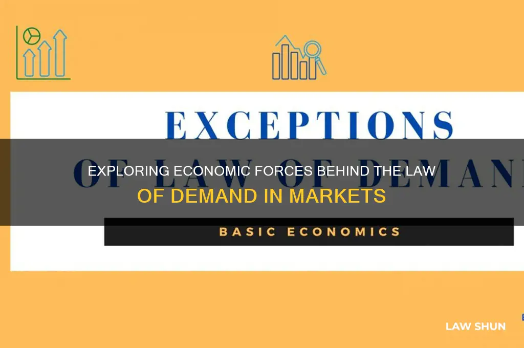 which phenomena underlie the law of demand for the market