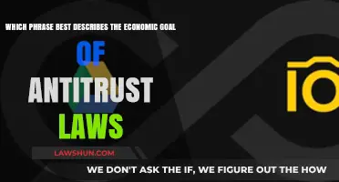 Antitrust Laws: Ensuring Fair Competition for Economic Prosperity