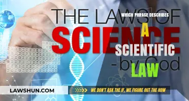 Unraveling the Mysteries: What Constitutes a Scientific Law?