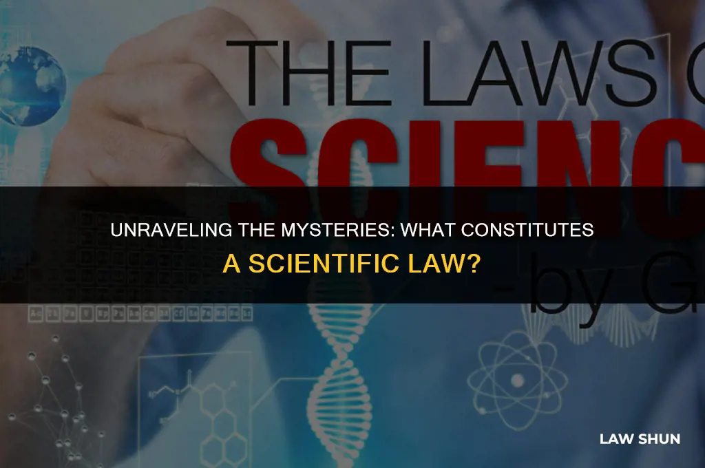 which phrase describes a scientific law