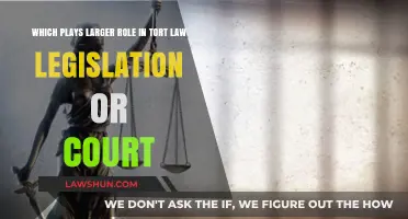 Legislation vs. Court Decisions: Which Shapes Tort Law More?