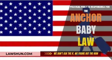 Anchor Baby Law Origins: Which Political Party Holds Responsibility?