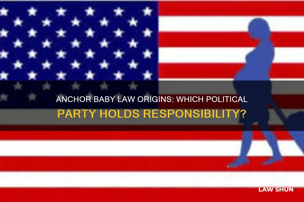 which political party is responsible for the anchor baby law