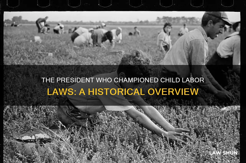 which president started child labor laws
