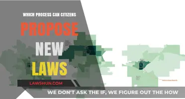 Initiating Change: Citizen-Led Law Proposals