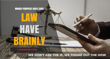Understanding Civil Law's Role: Protecting Rights, Resolving Disputes, and Ensuring Justice