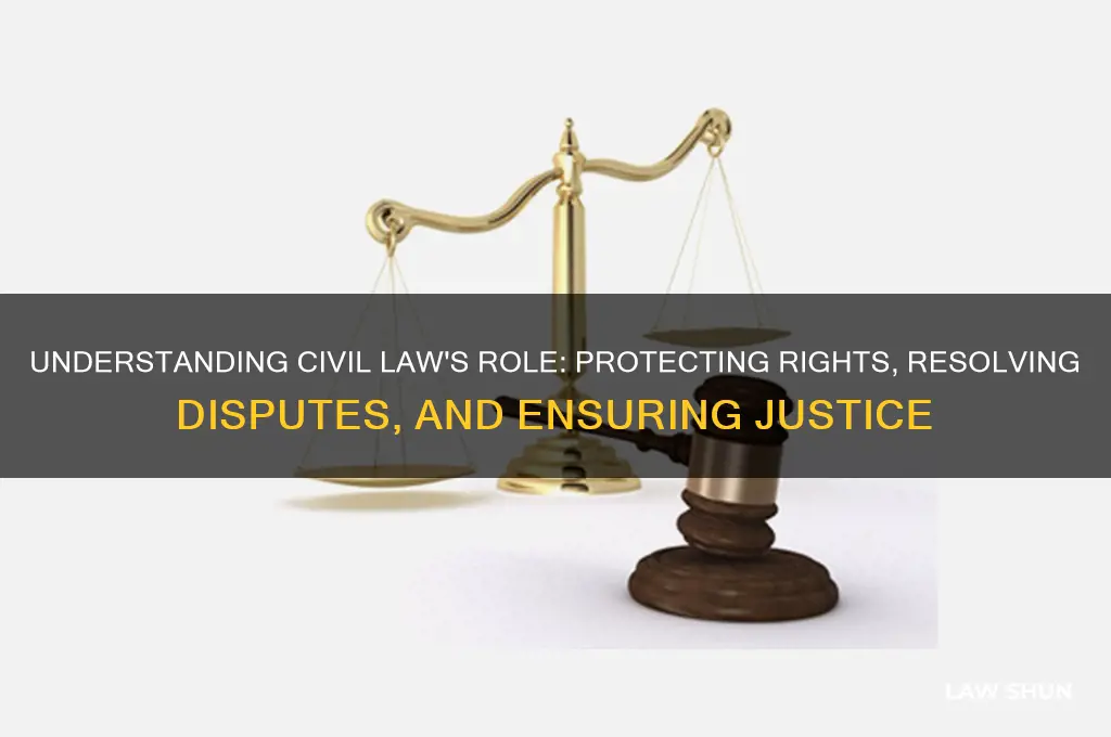 which purpose does civil law have brainly