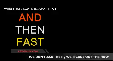 Unleashing the Power of Slow-Fast Reactions