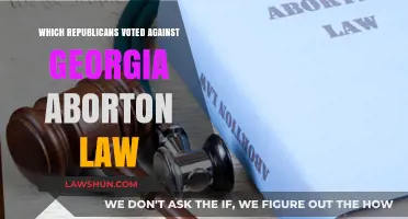 Georgia Abortion Law: Which Republicans Voted Against the Ban?