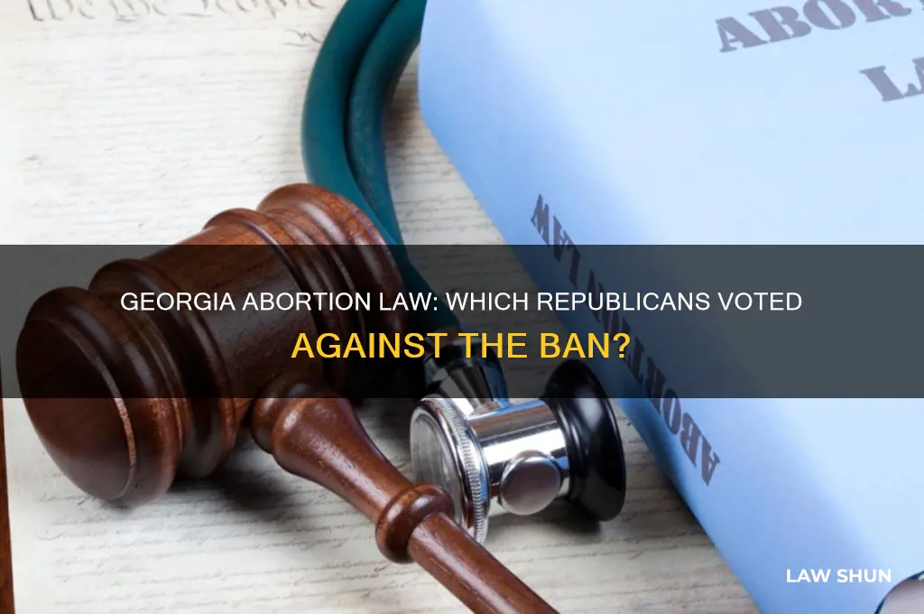 which republicans voted against georgia aborton law