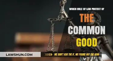 The Rule of Law: Safeguarding Our Common Good