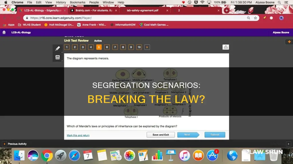 which scenario breaks the law of segregation brainly