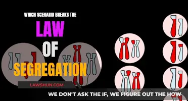 Segregation Law: Scenarios that Violate the Legal Principle