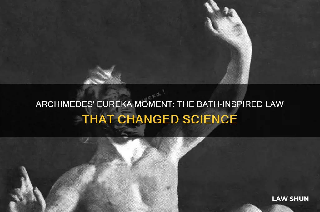 which scientist came up with a law in the bath