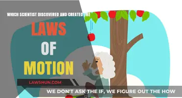 Who Formulated the Laws of Motion?