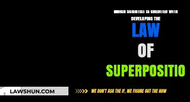 Unraveling Geology's Layers: The Scientist Behind the Law of Superposition