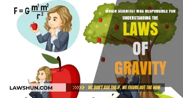 Unraveling Gravity: The Scientist Behind Its Universal Laws Explained