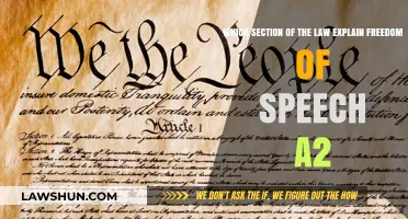 Understanding Freedom of Speech: Legal Foundations in Section A2 Explained
