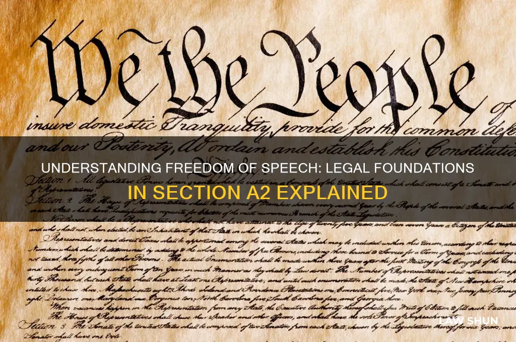 which section of the law explain freedom of speech a2
