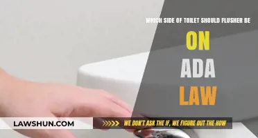 ADA Compliance: Correct Side for Toilet Flushers Explained