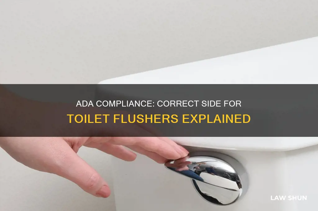which side of toilet should flusher be on ada law