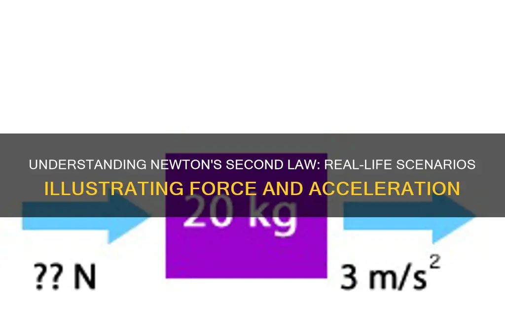 which situation best explains the law of force and acceleration