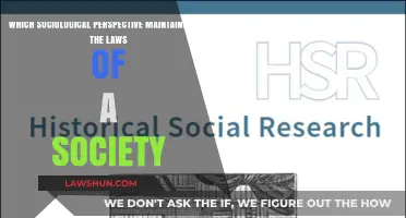 Sociological Perspectives: Understanding the Role of Laws in Society