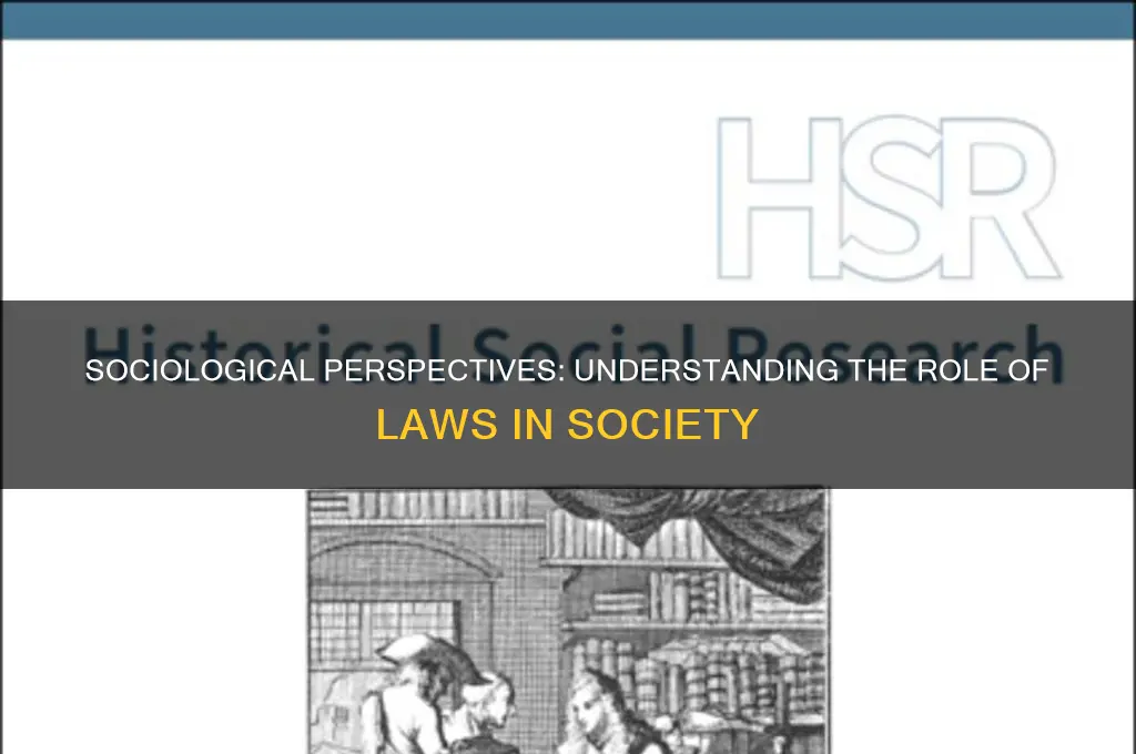 which sociological perspective maintains that the laws of a society