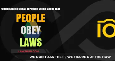 Why Do People Obey Laws? Exploring the Sociological Perspectives
