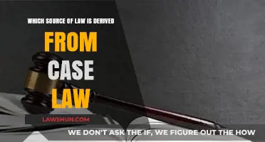 Case Law: The Evolution of Common Law