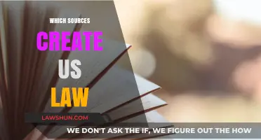Sources of US Law: A Comprehensive Overview