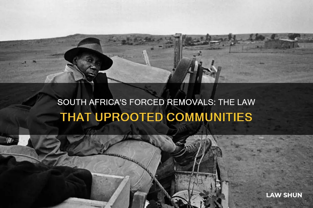 which south african law forced individuals to leave their homes