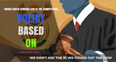 South Africa's Competition Policy: Foundations in the Competition Act