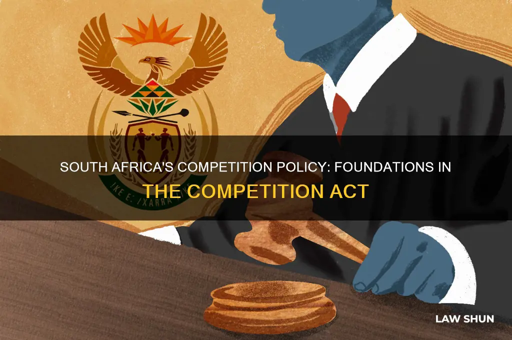 which south african law is the competition policy based on