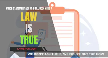 How Laws are Made: Understanding the Legislative Process